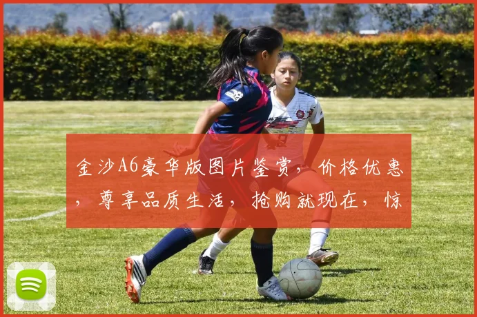金沙A6豪华版图片鉴赏，价格优惠，尊享品质生活，抢购就现在，惊喜连连