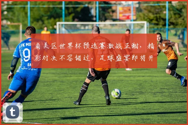 南美区世界杯预选赛激战正酣，精彩对决不容错过，足球盛宴即将开启