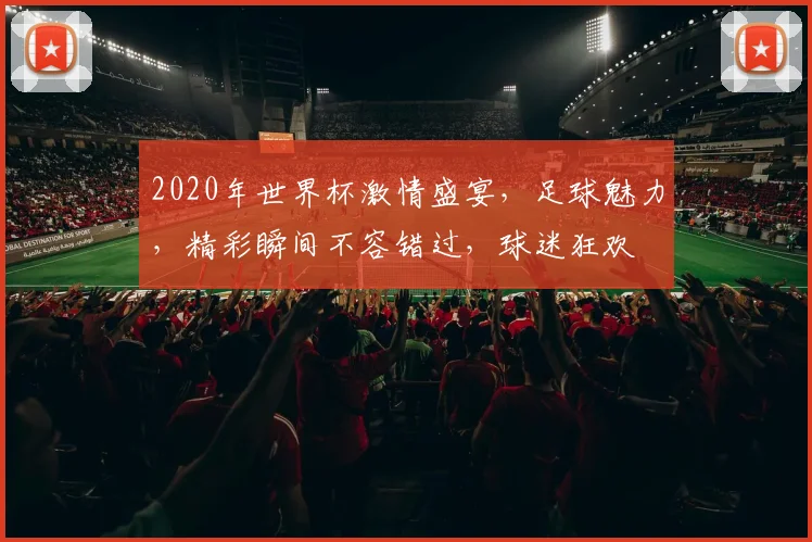 2020年世界杯激情盛宴，足球魅力，精彩瞬间不容错过，球迷狂欢