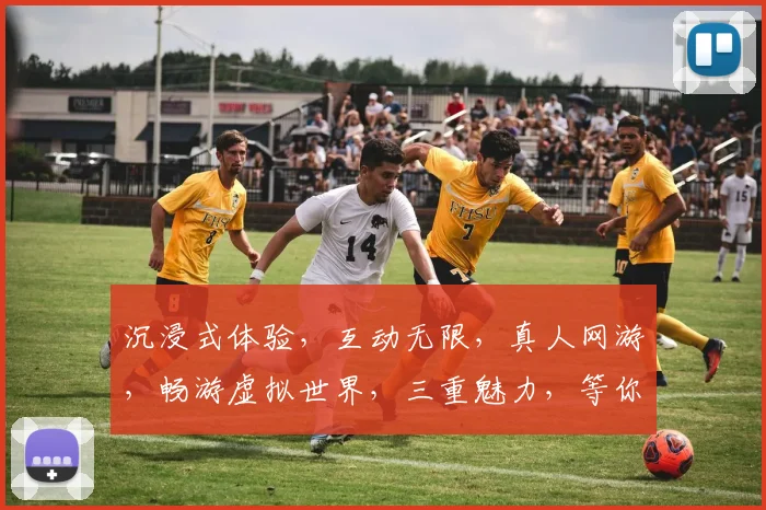 沉浸式体验，互动无限，真人网游，畅游虚拟世界，三重魅力，等你来挑战